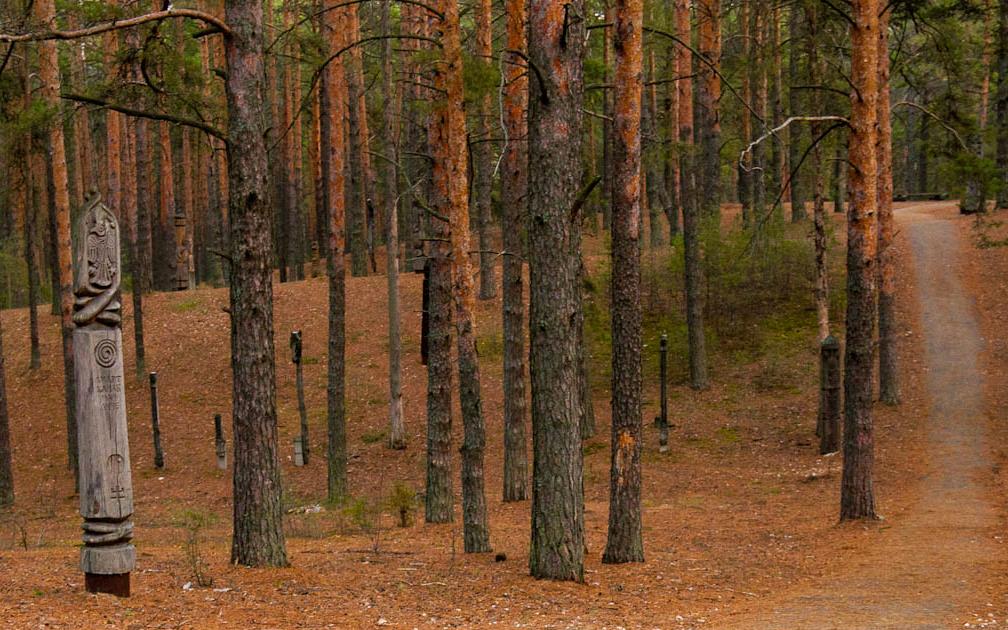 Этнопарк Сувар (р. Чувашия) - фото