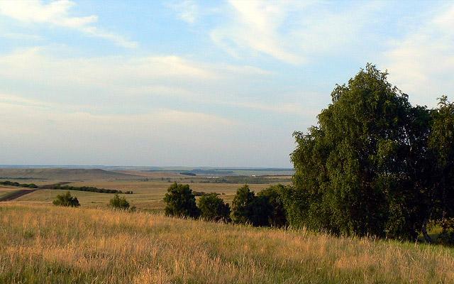 Медведицкая гряда (Волгоградская область) - фото