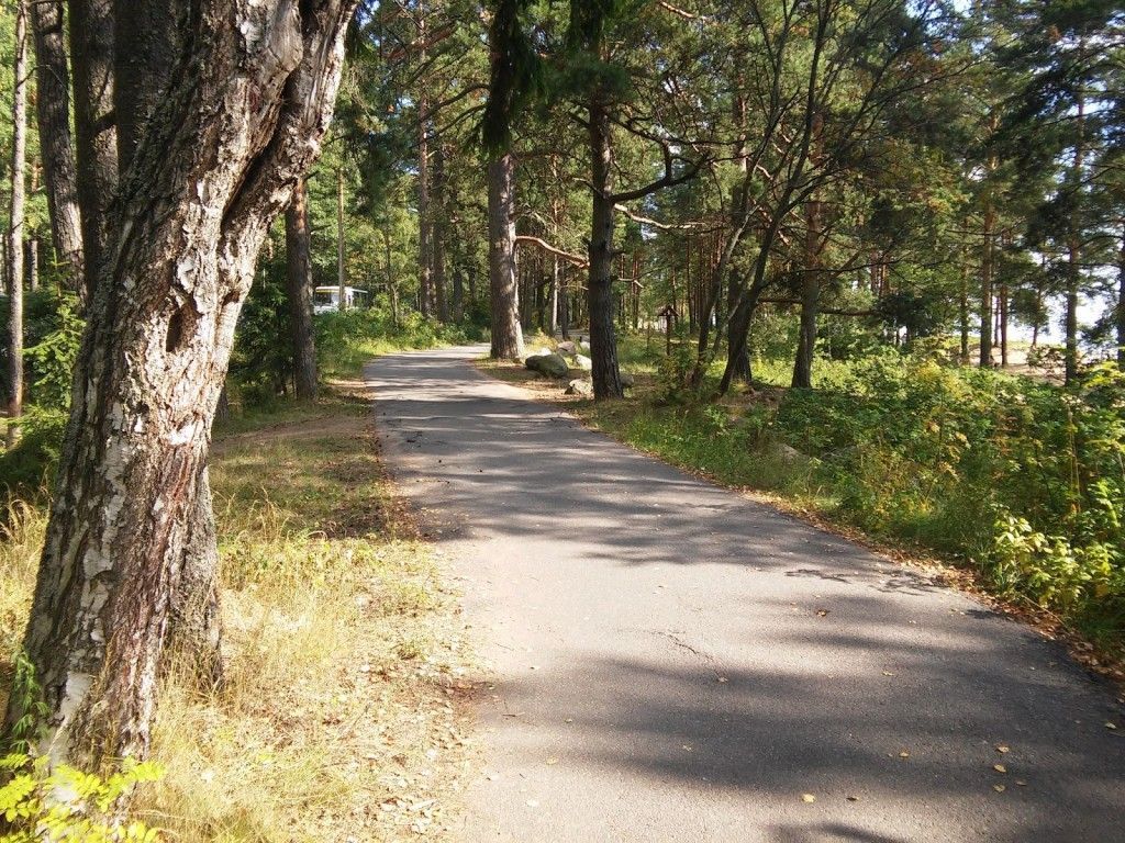 Экологическая тропа "Комаровский берег" - фото