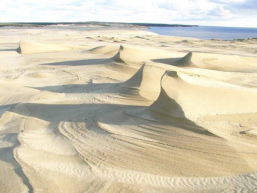 Куршская коса (Калининградская область) - фото