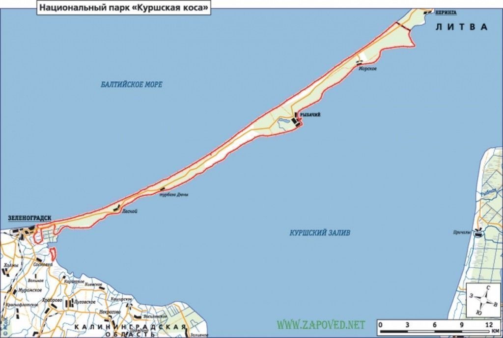 Куршская коса (Калининградская область) - фото