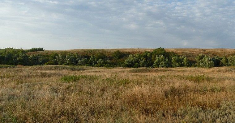 Медведицкая гряда (Волгоградская область) - фото