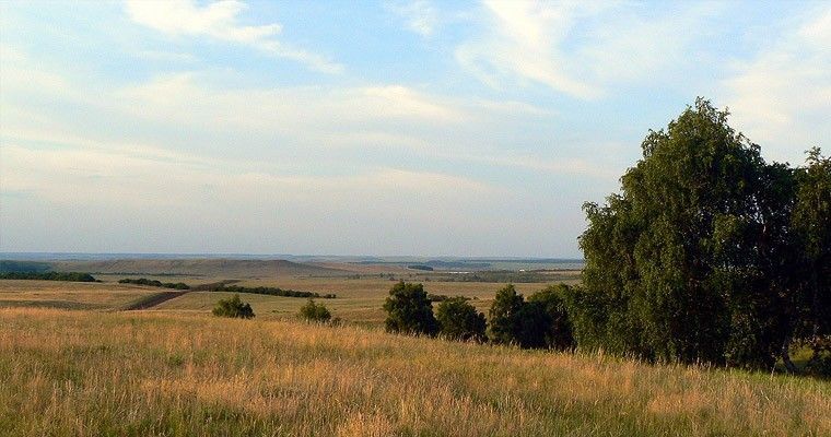 Медведицкая гряда (Волгоградская область) - фото