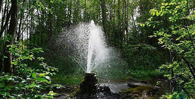 Гатчинские гейзеры (Ленинградская область) - фото