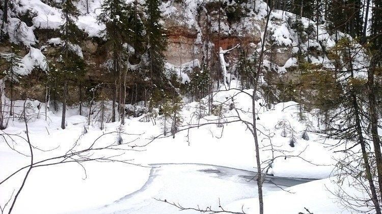 Пещеры Тараканьего лога (Архангельская область) - фото