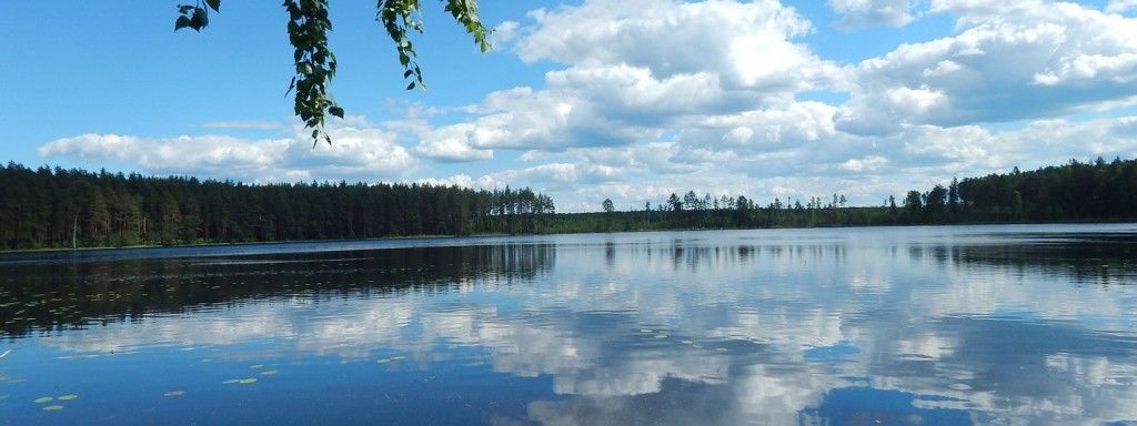 Шумновские озера (Тверская область) - фото