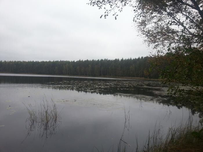 Шумновские озера (Тверская область) - фото