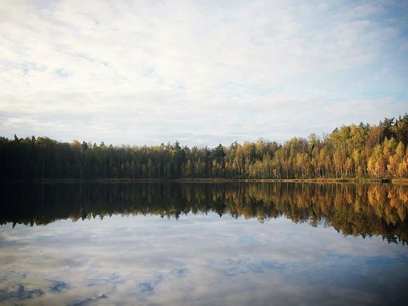 Петушинские озера (Владимирская область) - фото