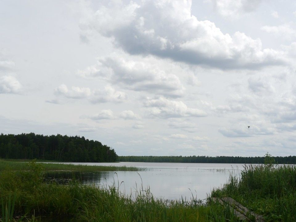 Петушинские озера (Владимирская область) - фото