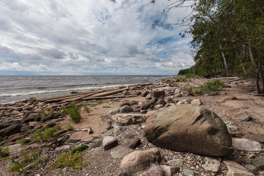 Остров центральный в Рыбинском водохранилище: история и природные достопримечательности