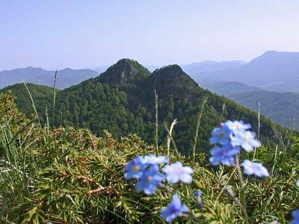 К горам Индюк, Семашхо, Два Брата (Краснодарский край) - фото