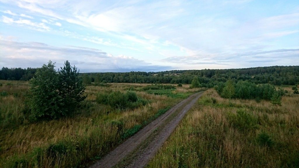 Терем в Асташово (Костромская область) - фото