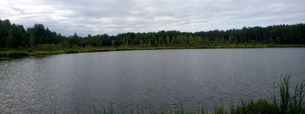 Терем в Асташово (Костромская область) - фото