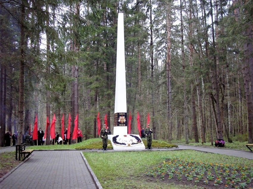 Стоянка Виноградова (Брянская область) - фото