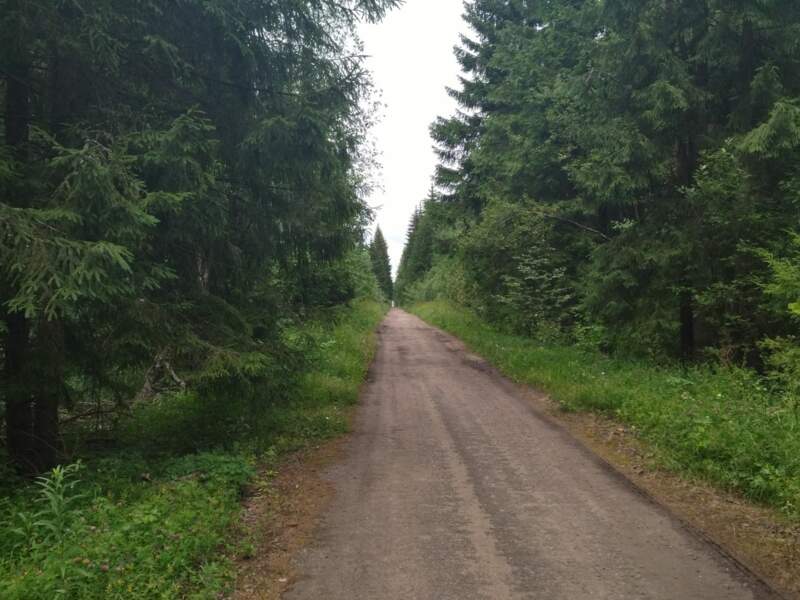 Петля Баевских болот - фото