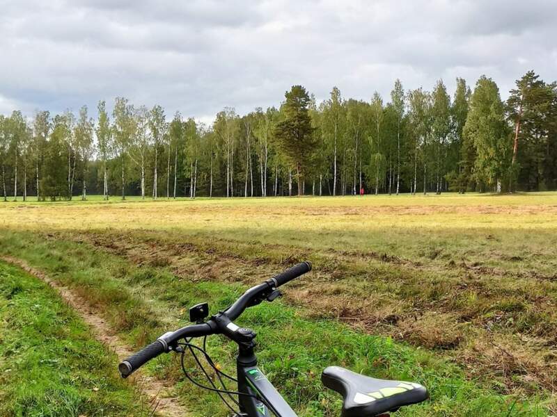 Павловский парк - фото