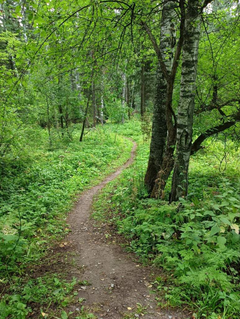 Места силы Академгородка - фото