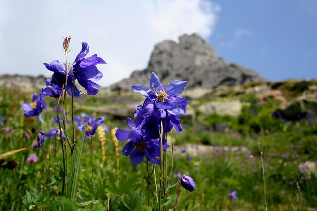 Знакомство с Ергаками - фото