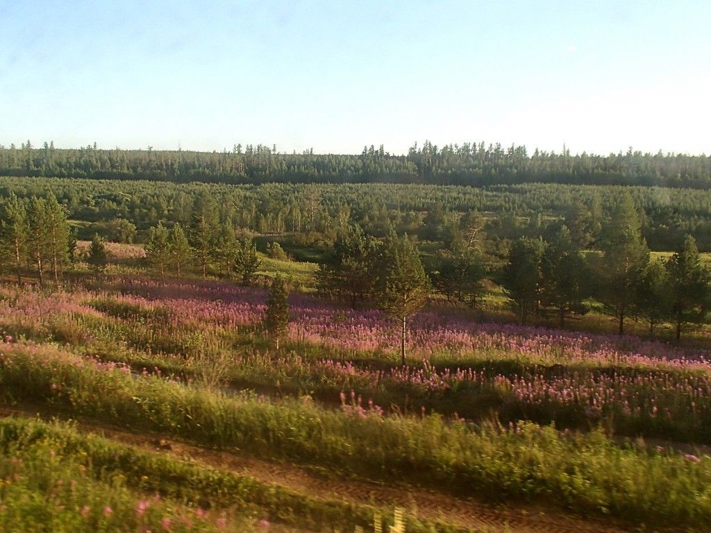 Горный поход 2 категории по Кодарскому хребту - фото