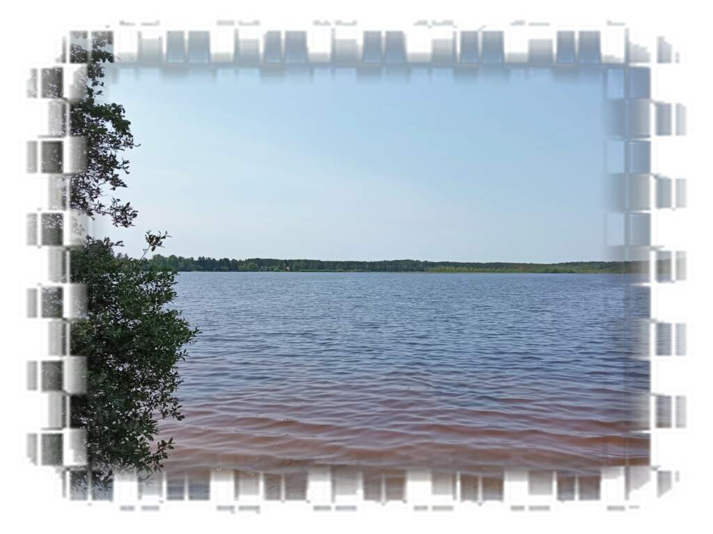 Токсовские высоты и озеро Кавголовское - фото