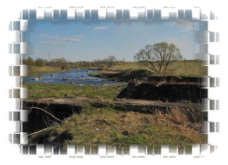 Среднее течение реки Ижора - фото