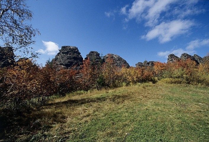 Колпаки - фото