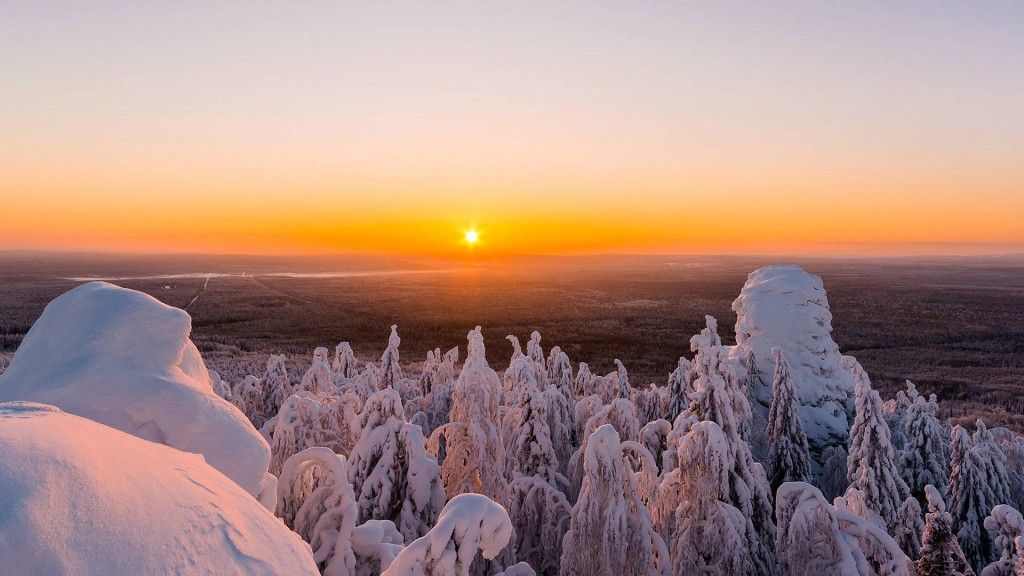 Колпаки - фото