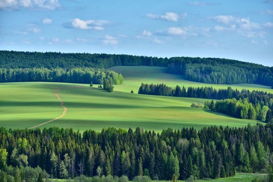 Серый Вакутин Камень - фото