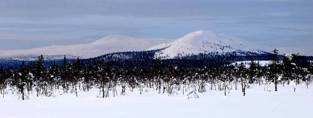 Карта гора ослянка