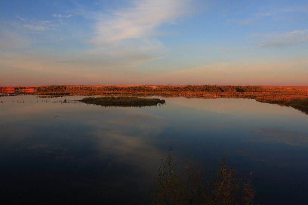 Димитровское водохранилище - фото