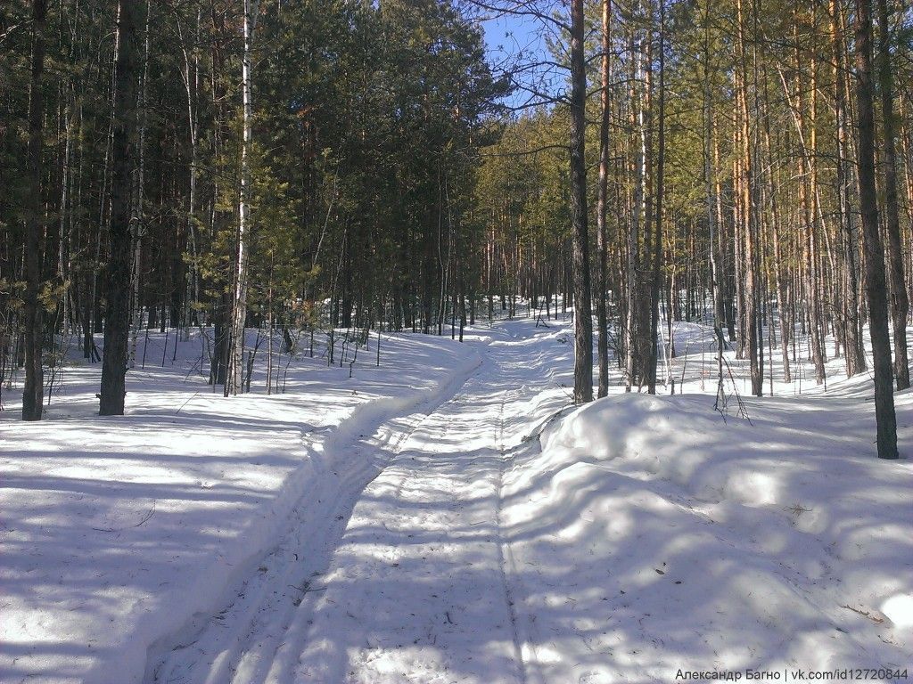 Скалы Чёртово городище - фото