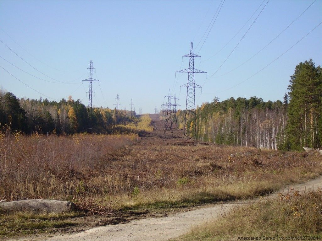 Скалы Чёртово городище - фото