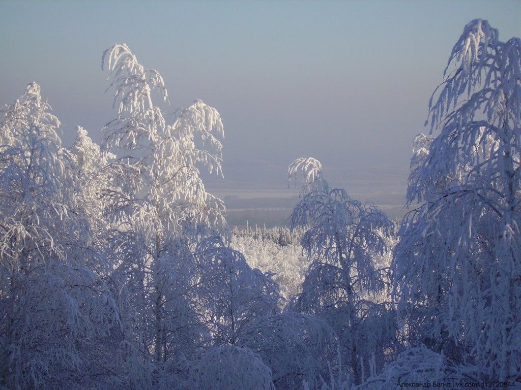 Гора Бунар - фото