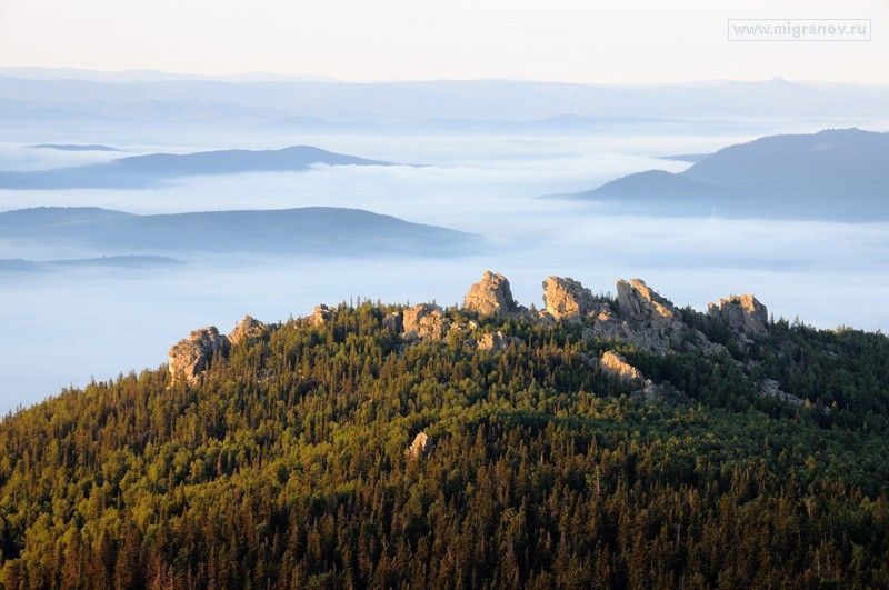 Ялангас - фото