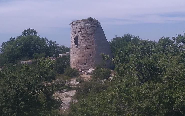 Знакомство с Сюйреньской крепостью и тисовой рощей - фото