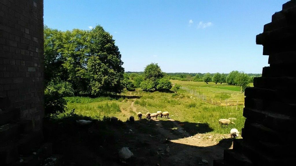 Черняховск - Гремячье - Большаково - Черняховск - фото