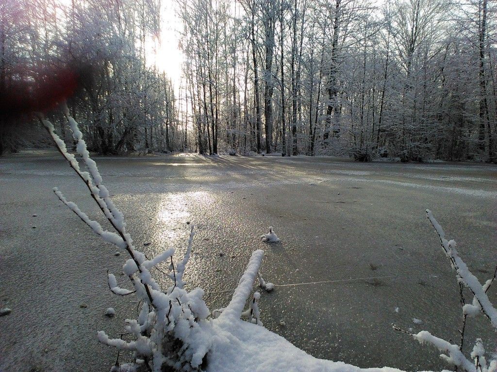 Черняховск - Гремячье - Большаково - Черняховск - фото