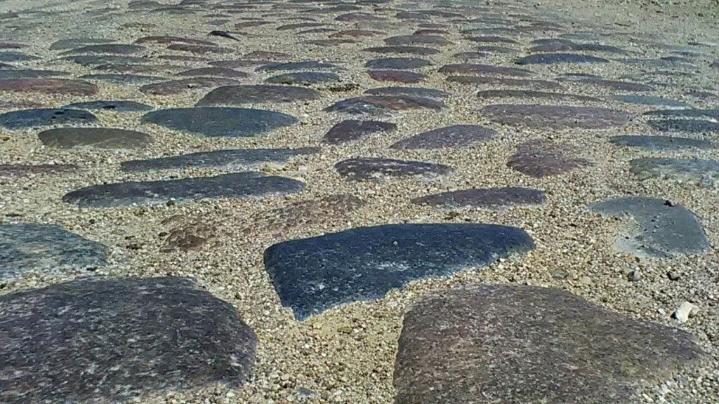 Черняховск - Гремячье - Большаково - Черняховск - фото