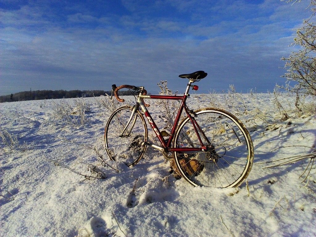 Черняховск - Гремячье - Большаково - Черняховск - фото