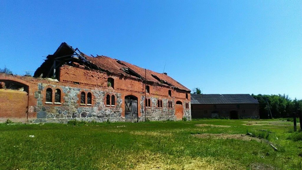 Черняховск - Гремячье - Большаково - Черняховск - фото