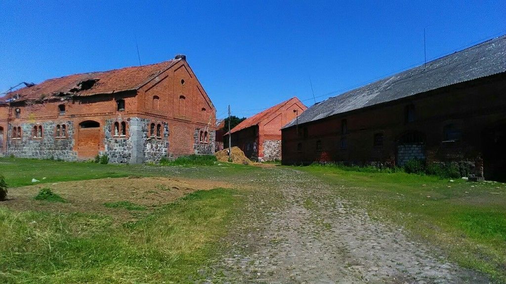 Черняховск - Гремячье - Большаково - Черняховск - фото