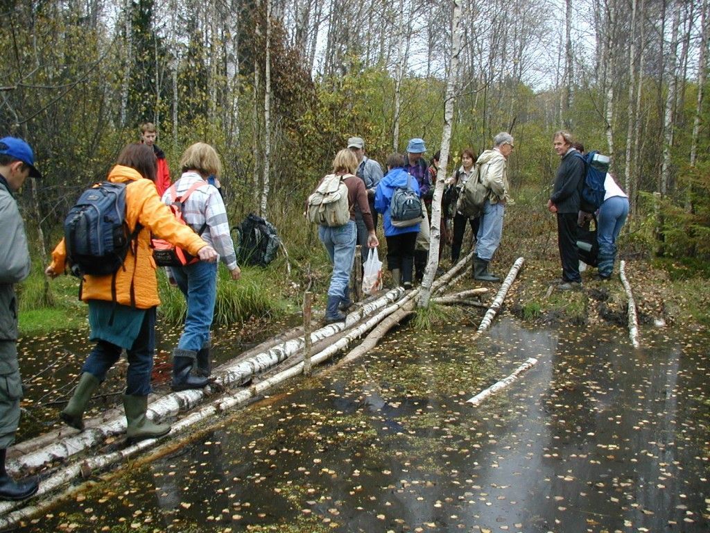 Поход выходного дня