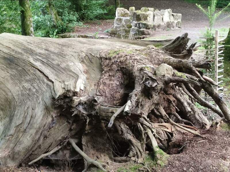 Кольцевой маршрут по объекту всемирного наследия ЮНЕСКО Бергпарк Вильгельмсхёэ - фото