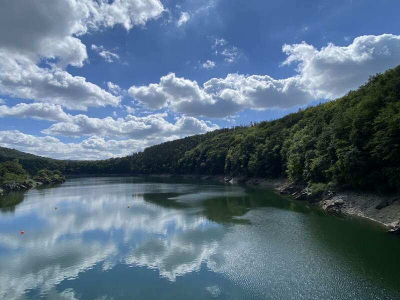 Кольцевой маршрут для наблюдения за птицами: Фогельзанга - мост Урфтзеебрюкке - фото