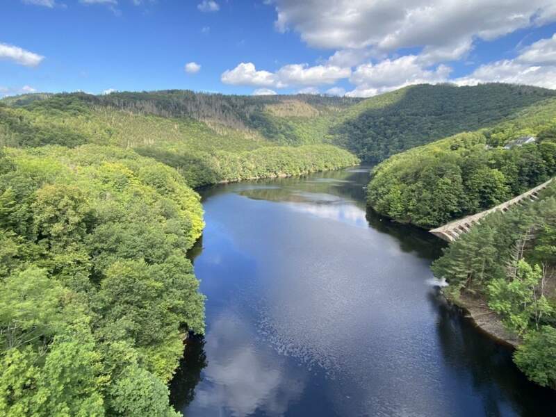 Кольцевой маршрут для наблюдения за птицами: Фогельзанга - мост Урфтзеебрюкке - фото