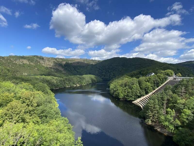 Кольцевой маршрут для наблюдения за птицами: Фогельзанга - мост Урфтзеебрюкке - фото