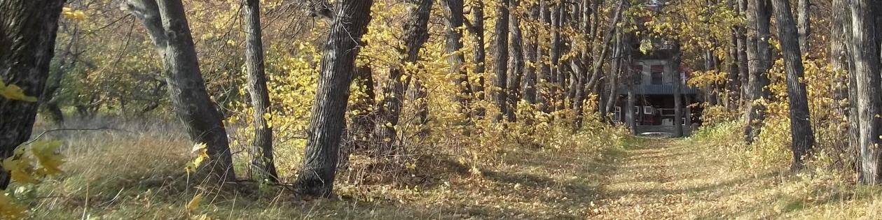 Загородный клуб «Лесная сказка» - фото