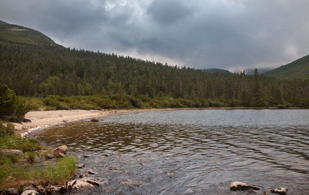 Сулук хабаровский край фото