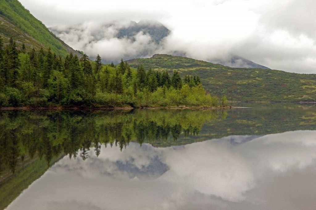 Сулук хабаровский край фото