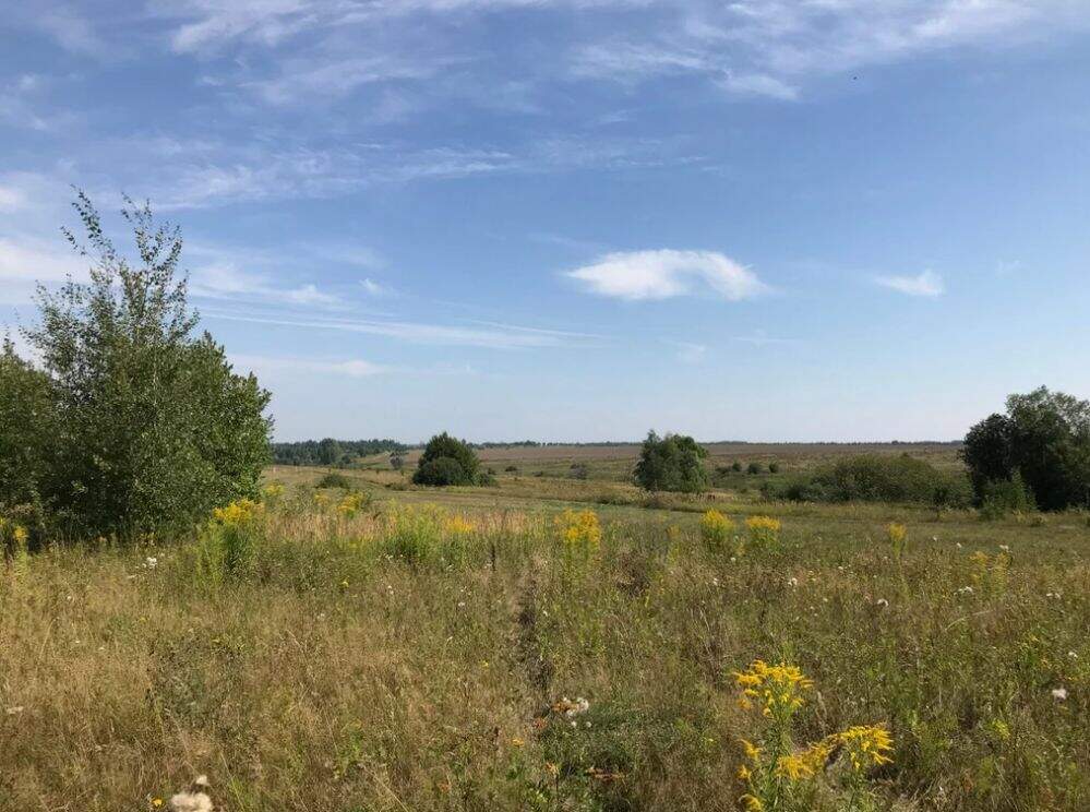 Ланьшино-Митино-водопад Громок-Поленово-Страхово - фото